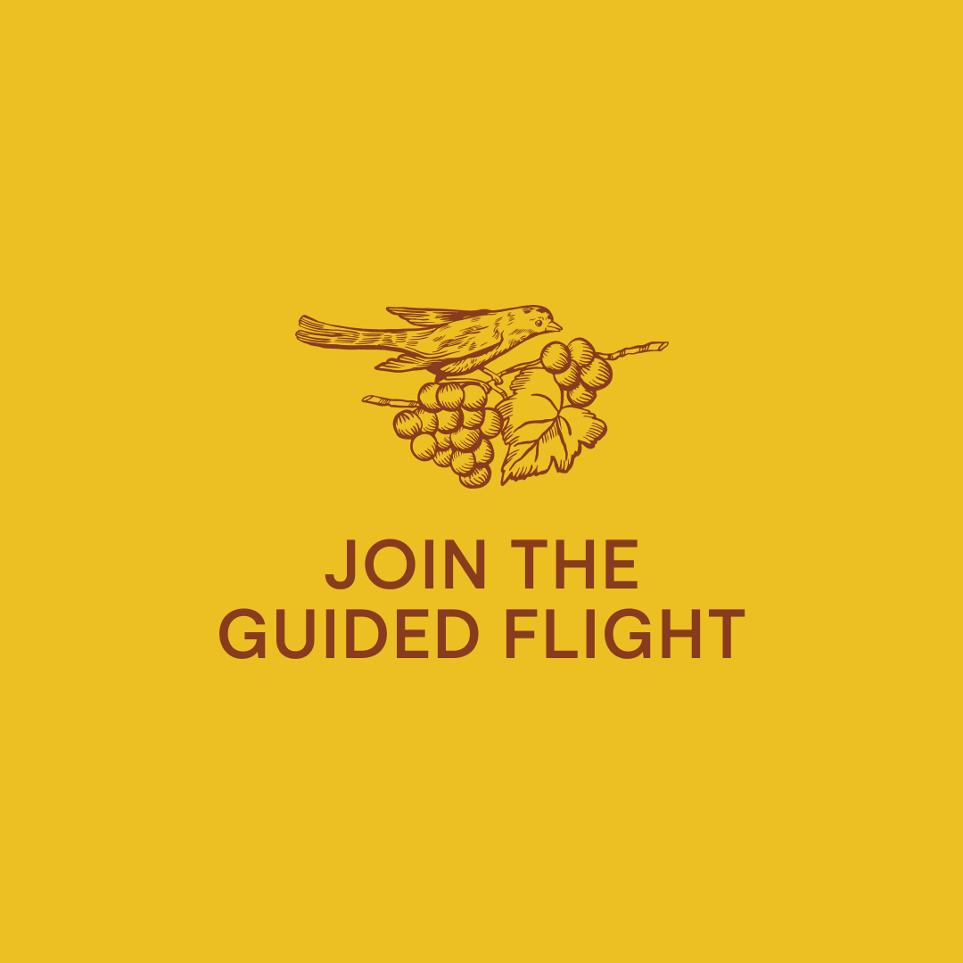 Guided Flight — Thursday, February 5th