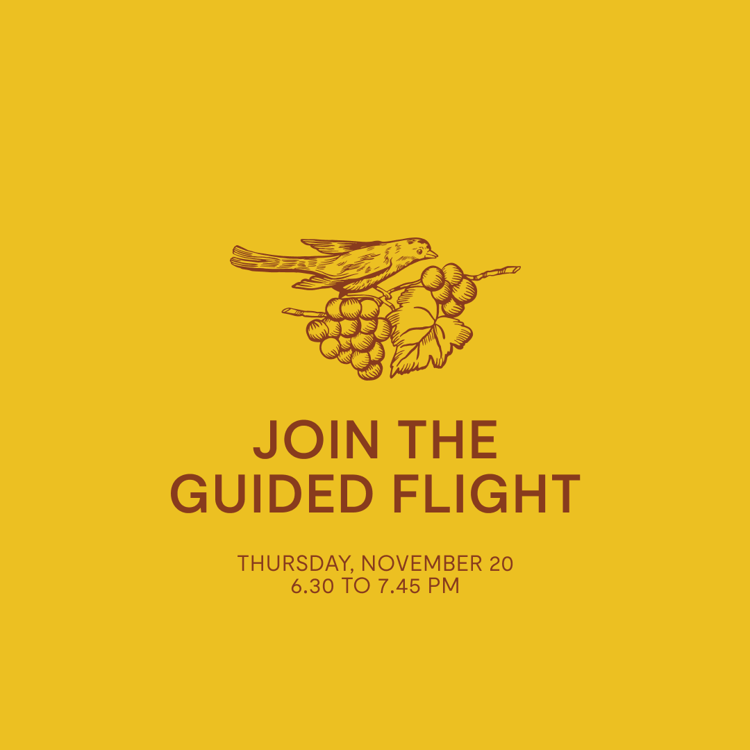 Guided Flight — Thursday, November 20