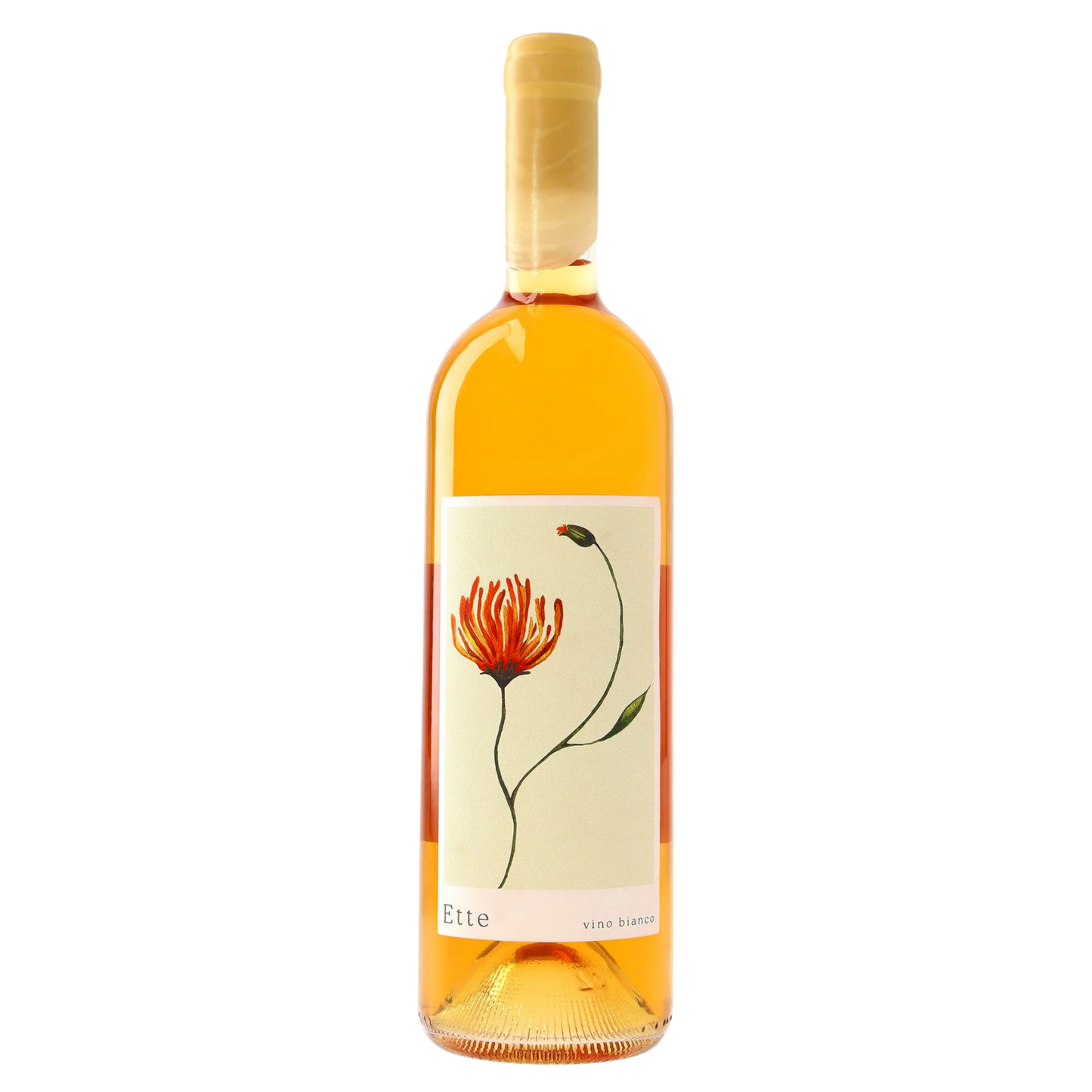 Summer Wolff 'Ette' Bianco