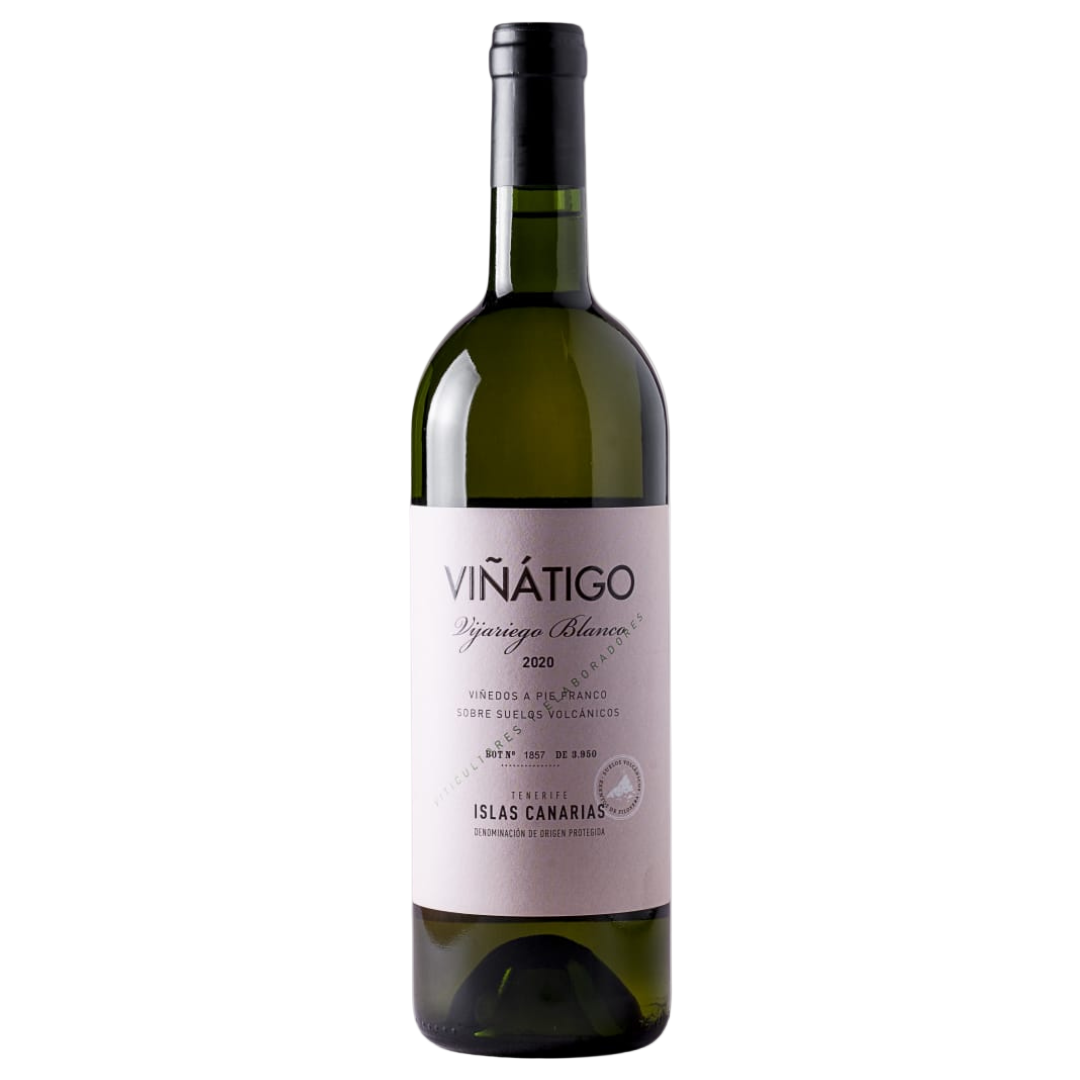 Viñátigo Vijariego Blanco 2024