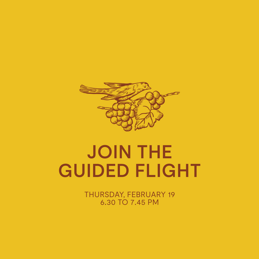 Guided Flight — Thursday, February 19th