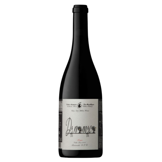 Filipa Pato & William Wouters Dinâmica 2024