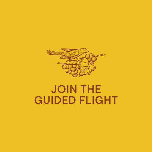 Gift a Guided Flight