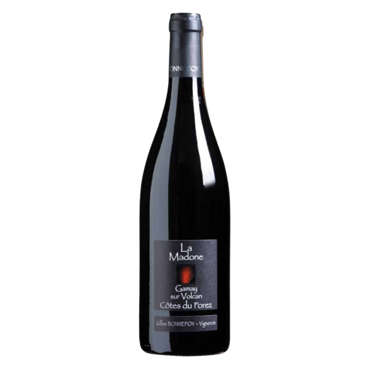 Gilles Bonnefoy La Madone Gamay sur Volcan 2024