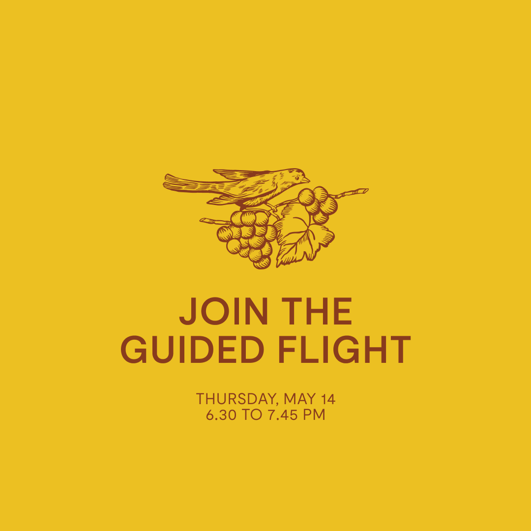 Guided Flight — Thursday, May 14th