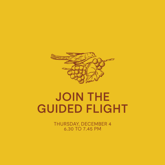 Guided Flight — Thursday, December 4