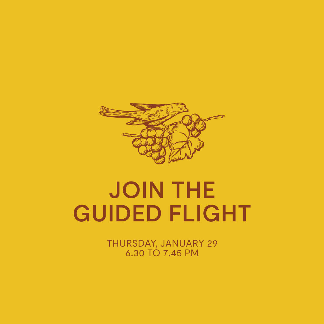 Guided Flight — Thursday, January 29
