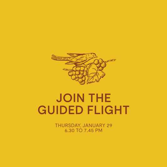 Guided Flight — Thursday, January 29