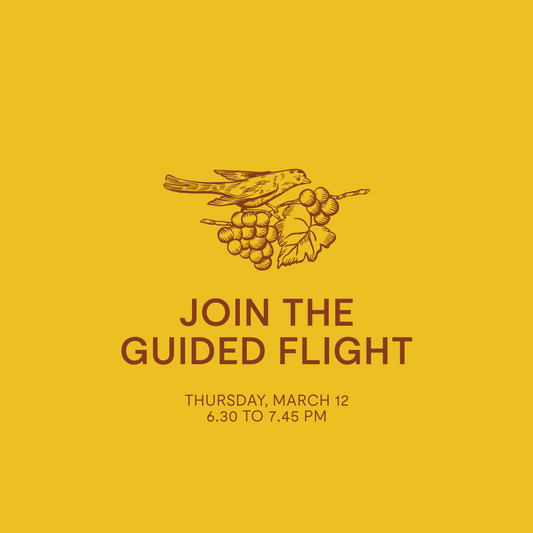 Guided Flight — Thursday, March 12