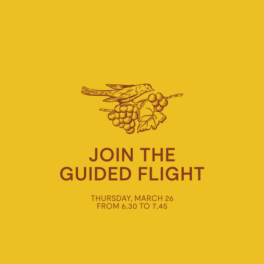 Guided Flight — Thursday, March 26
