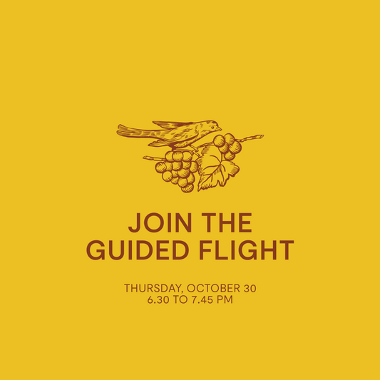 Guided Flight — Thursday, Oct 30