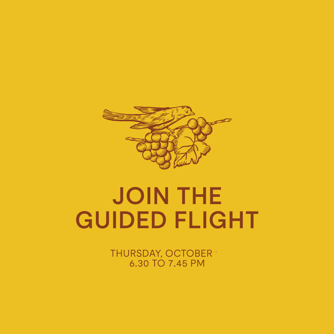 Guided Flight — Thursday, Oct 16