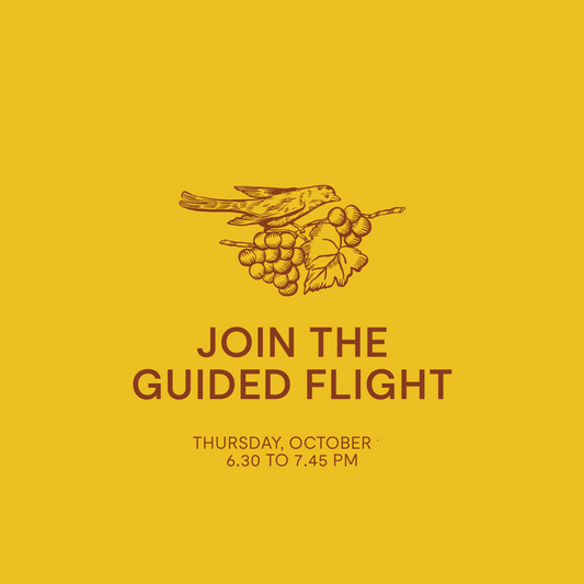 Guided Flight — Thursday, Oct 16