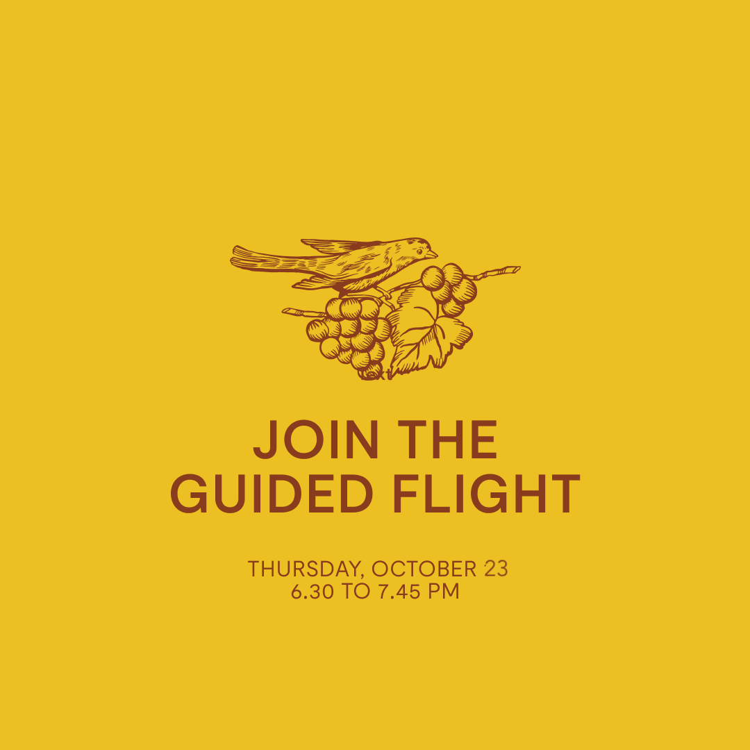 Guided Flight — Thursday, Oct 23