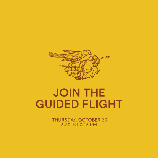 Guided Flight — Thursday, Oct 23