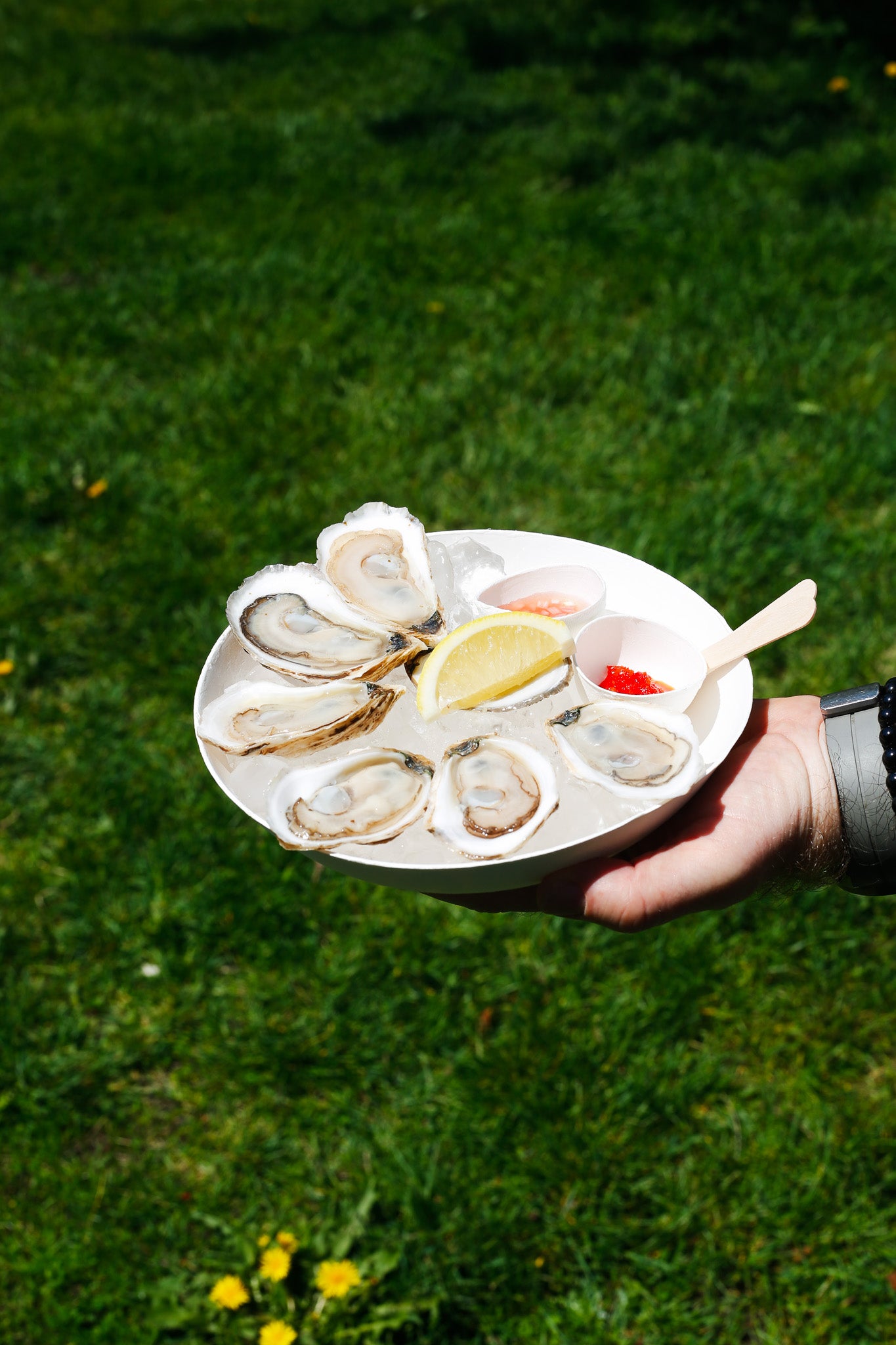 A Dozen Oysters for July 1st, 2026