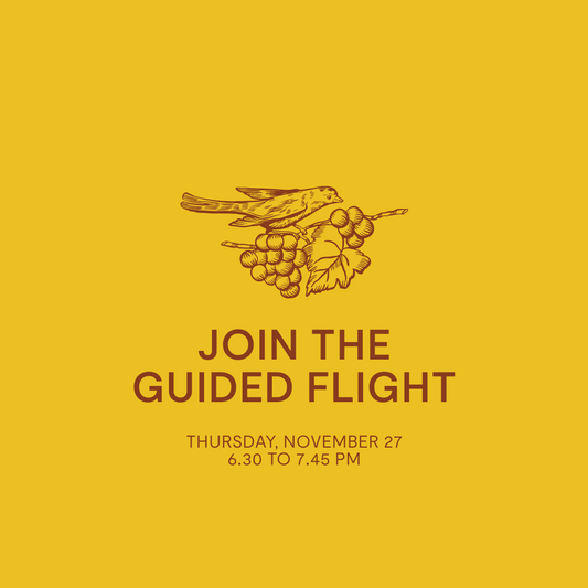Guided Flight — Thursday, November 27