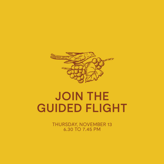 Guided Flight — Thursday, November 13