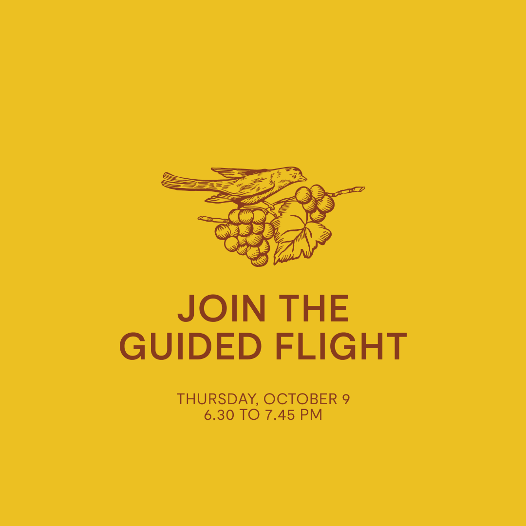 Guided Flight — Thursday, Oct 9