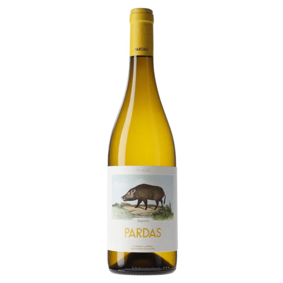 Pardas 'Rupestris' 2023