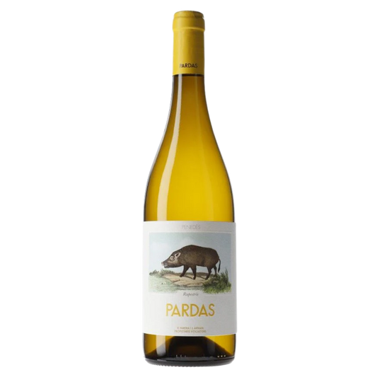 Pardas 'Rupestris' 2023
