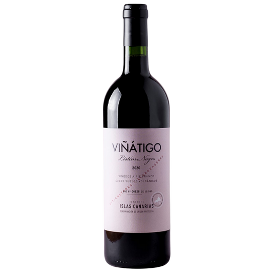 Viñátigo Listán Negro